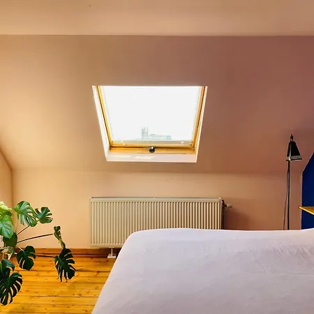 Roze In Herenhuis 2x 1persoonsbed * Antwerp